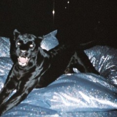 003 -  YACHT FREESTYLE