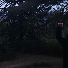 purpose, newcomer, darkages, oat