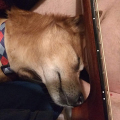 Cold Is The Absence Of Heat