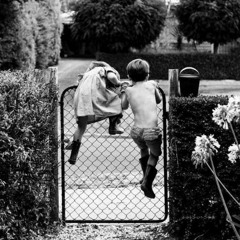 سرناز | مسعود بختیاری🌱