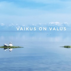 Vaikus On Valus
