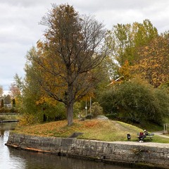 vanlig man freestyle