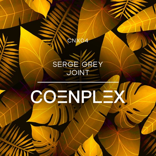 SERGE GREY - JOINT (Original Mix)