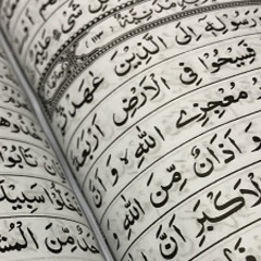 خشوع يبكي القلوب | تلاوة خاشعة للشيخ المنشاوي | من سورة التوبة
