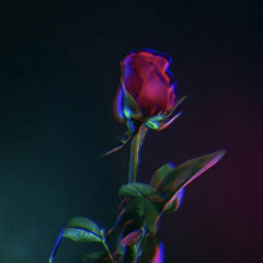 Roses for u ft. Hail mary, od