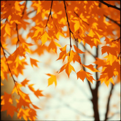 Autumn's Thread