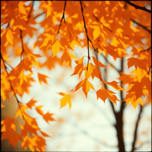 Autumn's Thread