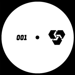 PREMIERE Dub Mob - 5th Dimension