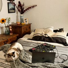 bedroom mix with my kittens