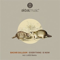 Bachir Salloum - Sunflower Fields (LADS Remix) [Akbal Music]