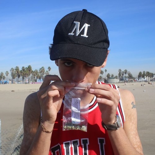 Dominic Fike - MAGNOLIA (Snippet)