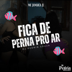 MC JAMAICA JL - FICA DE PERNA PRO AR  ( DJ PEDRIN SOUZA)