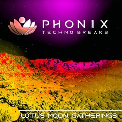 PHONIX Live! @ LMG 6.17.2023 - Techno Breaks