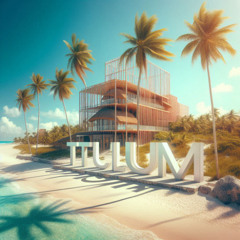 Tulum project
