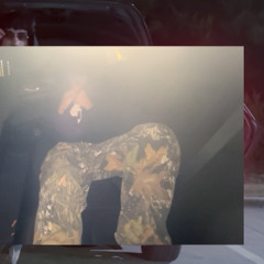 we kno prod. 19thou