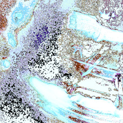 250729_0208 (3)