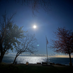 Distinct Motive x NAS - Blueberry x Not For Radio iTFiTZ