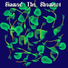 Sinmad The Shamest