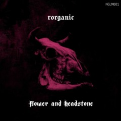 PREMIERE: Rorganic - Undead Pigeon [NGLM001]
