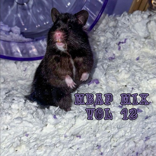 MBAP Mix Vol 12