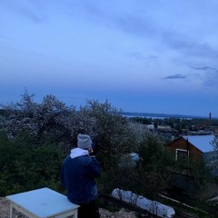 Balamutik - Новые Лица