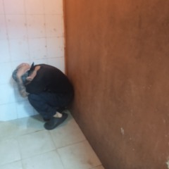 Las Fases Del Olvido