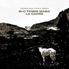 Andrew Dum X Paula Hriscu - M-o Trimis Mama La Capre