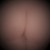 Artwork for BOTTOMS