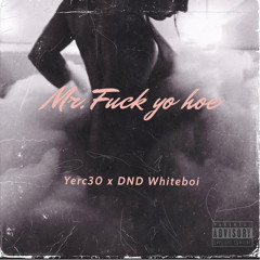 Mr. Fuck Yo Hoe (Mr. Put It On Remix)