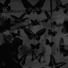 Trót Vài Câu Nói - Lee