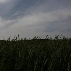 Пакет