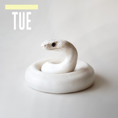 BCCO Premiere: Vermeer - Inland Taipan [Tuesday Single 03]