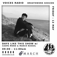 VOICES RADIO