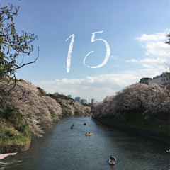 Hak Tape 15