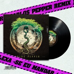 L#e#xa -S#e E#u M#a#n#d#a#r ( Carlos Pepper Remix )