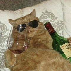 skuishee's house (stream mix)