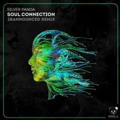 Silver Panda - Soul Connection (2BAnnounced Remix)