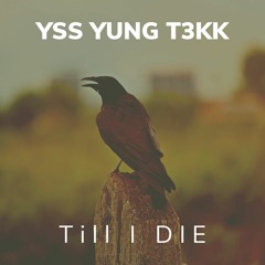 YSS YUNG T3KK - Till I Die