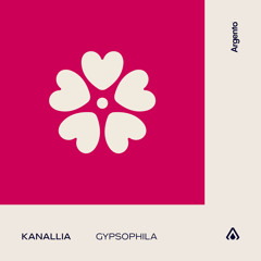 Kanallia - Gypsophila