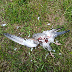 ‎‎‎‎‎‎‎‎ㅤ