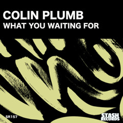 WHAT YOU WAITING FOR - COLIN PLUMB - PROMO EDIT