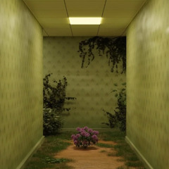LIMINAL