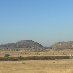 Aufbruchsgeister