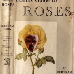 BE LIKE A FLOWER AND GROW. II For the girls