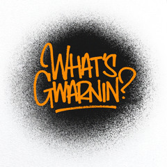 What's Gwarnin? ft Mighty Moe (DIGITAL DELAY DUB)