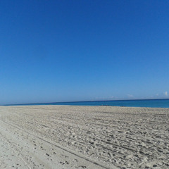 EDSetMayo16