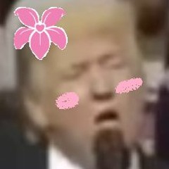 Goodnight OBAMNA draft1