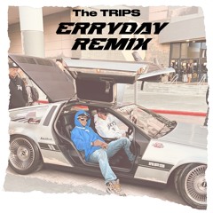 The TRIPS - Cookin soul erryday (TRIPS remix)