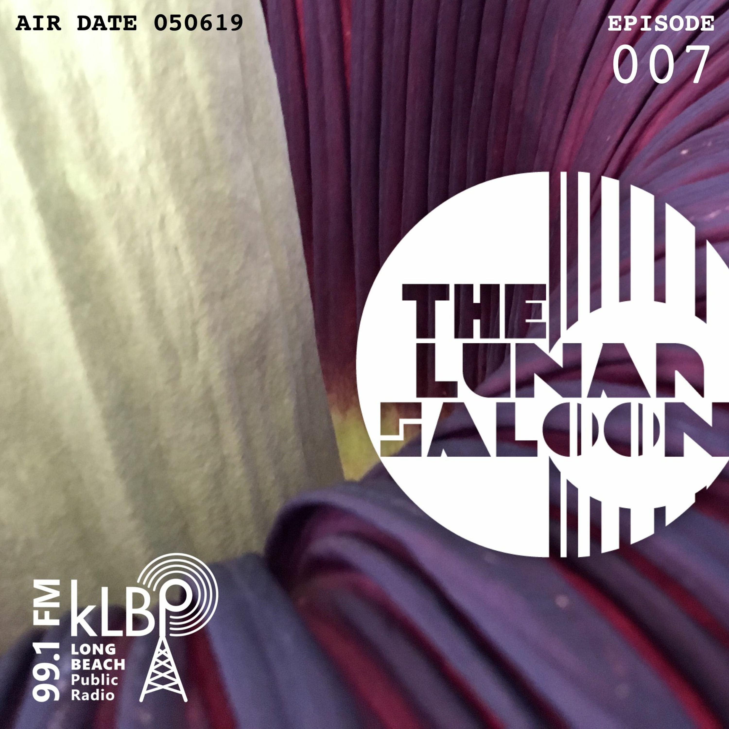 The Lunar Saloon