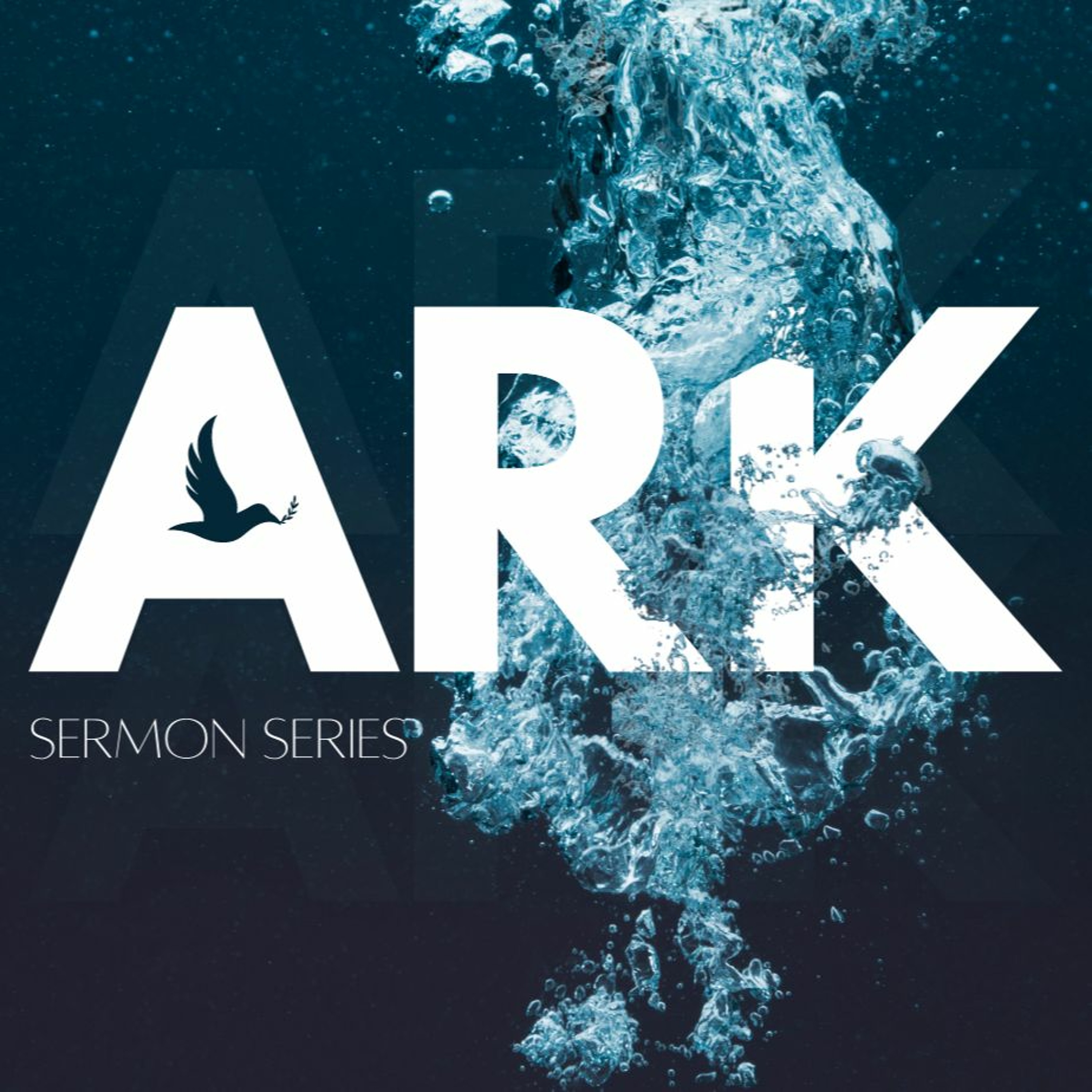 Joshua Hester | Series Do You See What I See? | Ark Series episode artwork